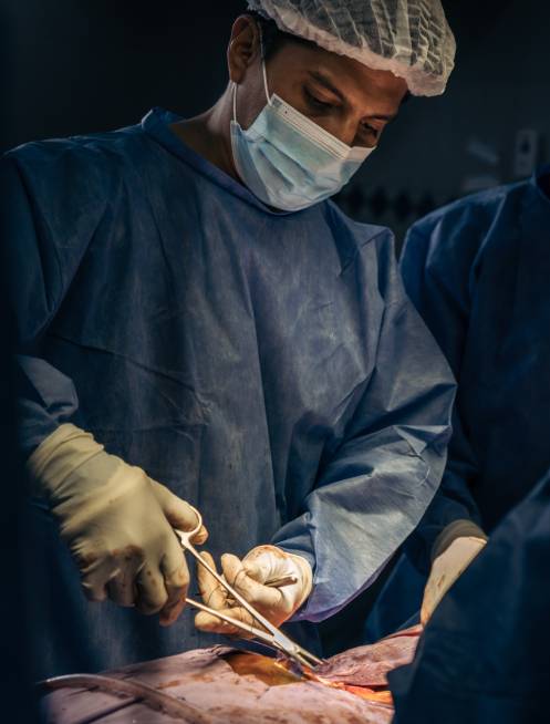 banner-especialidad-de-gastroenterologia-cerca-de-mi-ubicacion.jpg